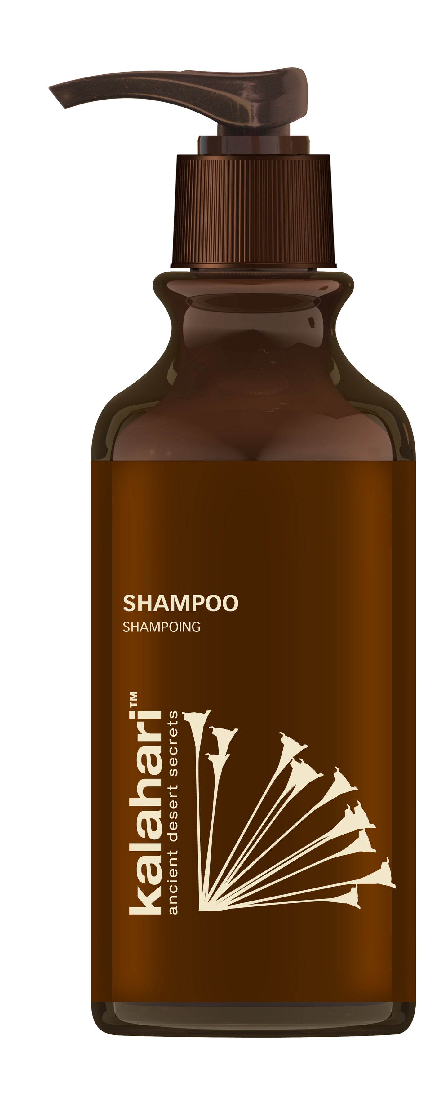 Shampoo