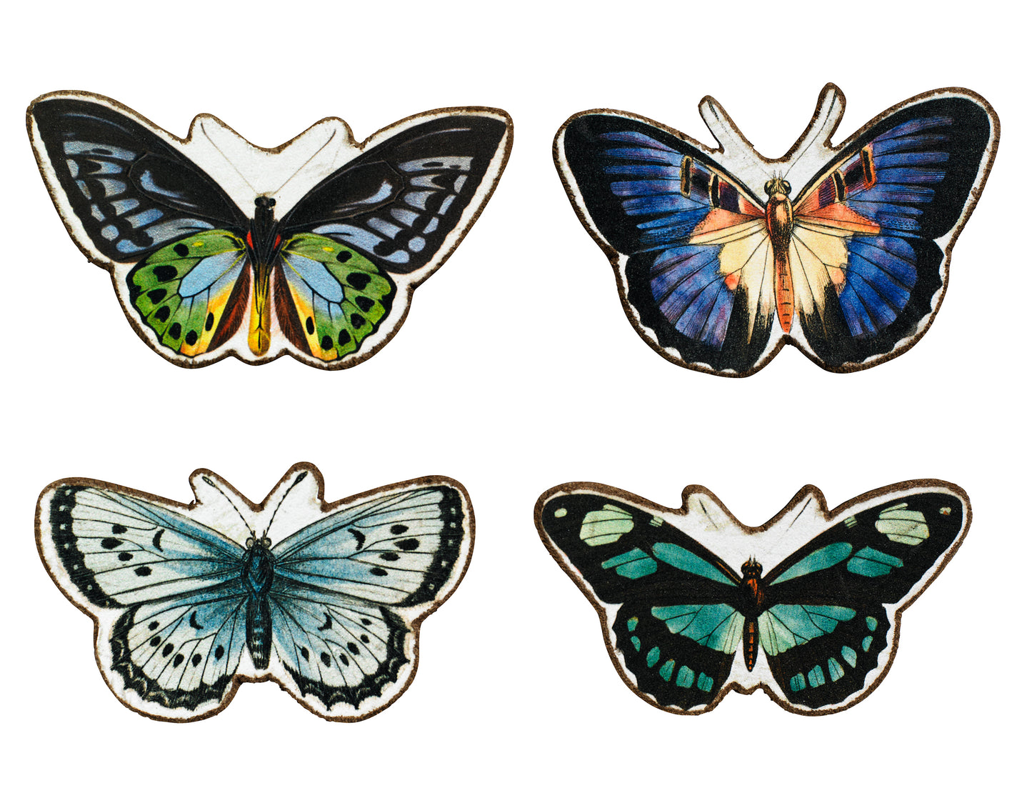 Sommerfugle magneter