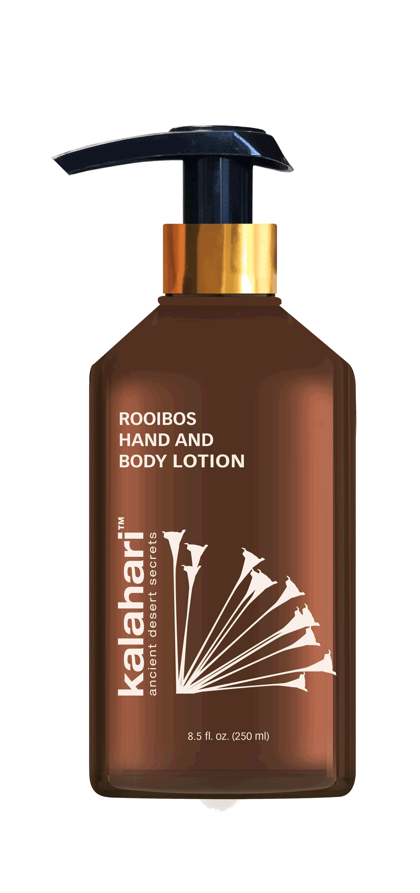 Hand and Body Lotion