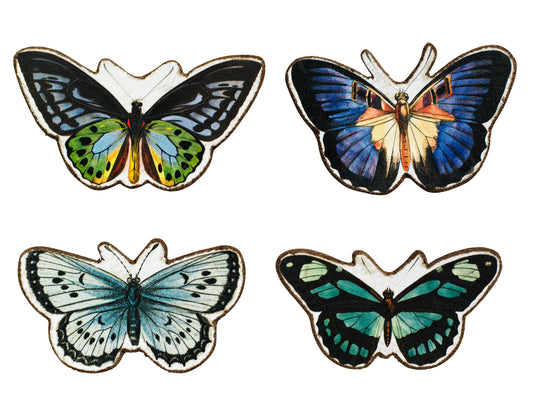 Sommerfugle magneter