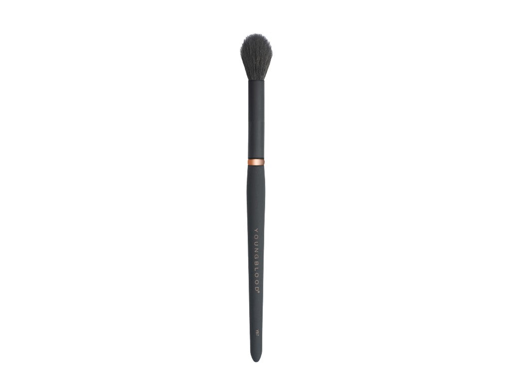 Youngblood Highlight Makeup Brush no. YB7